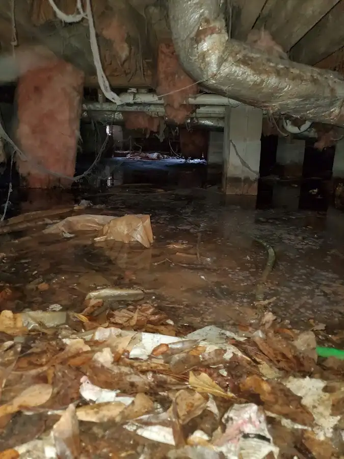 Crawl space flood assessment for Leak Detection & Repair in Walnut